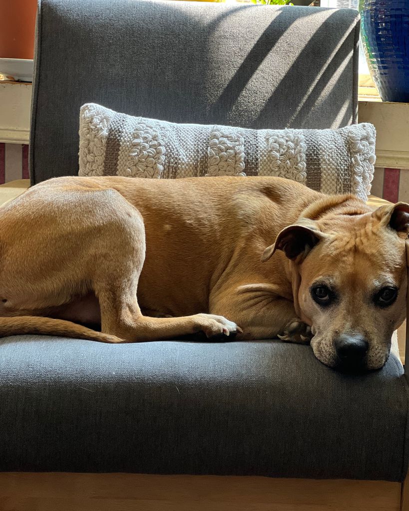Lola Legasey Profile Photo