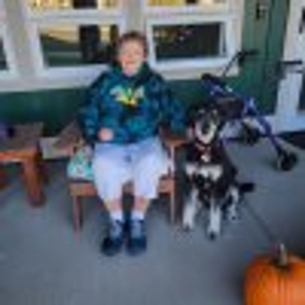 Lois P. "Doosy" Habbe