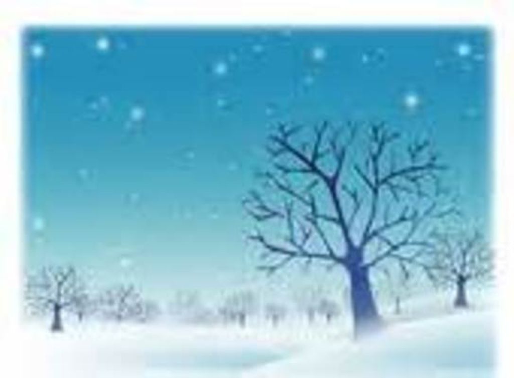 Patricia "Patty" Ann Boryski