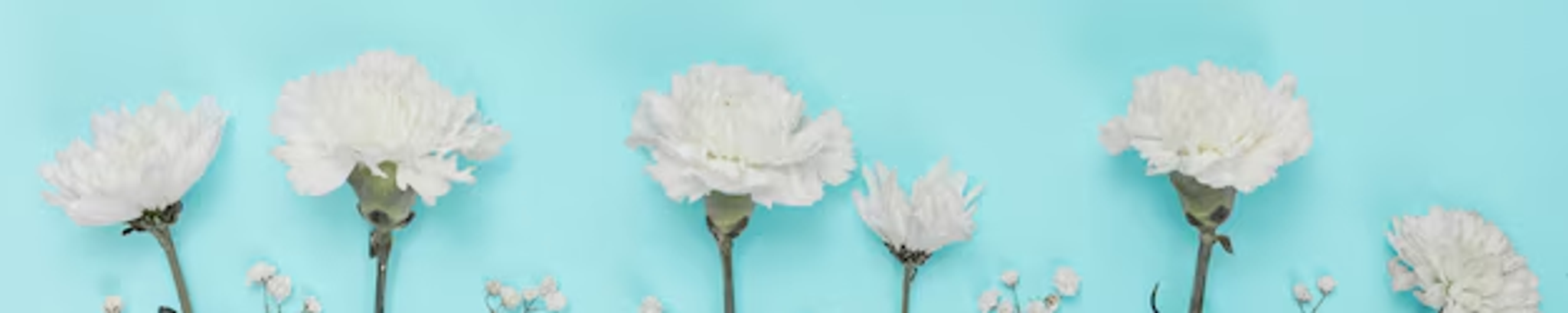 Cover for Helen Mae Dye's Obituary