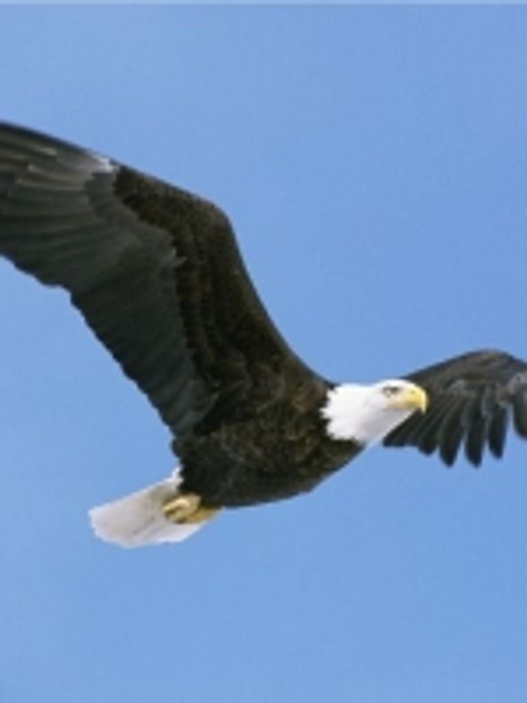 Cleon "Mack" Mccoy Hall