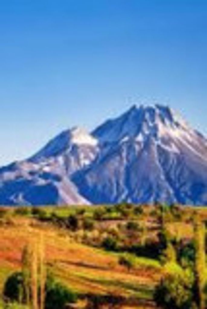 Billy Gessner Profile Photo