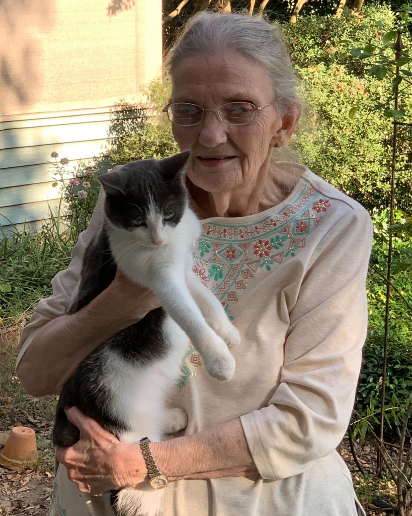 Jo Ann Gunter Profile Photo