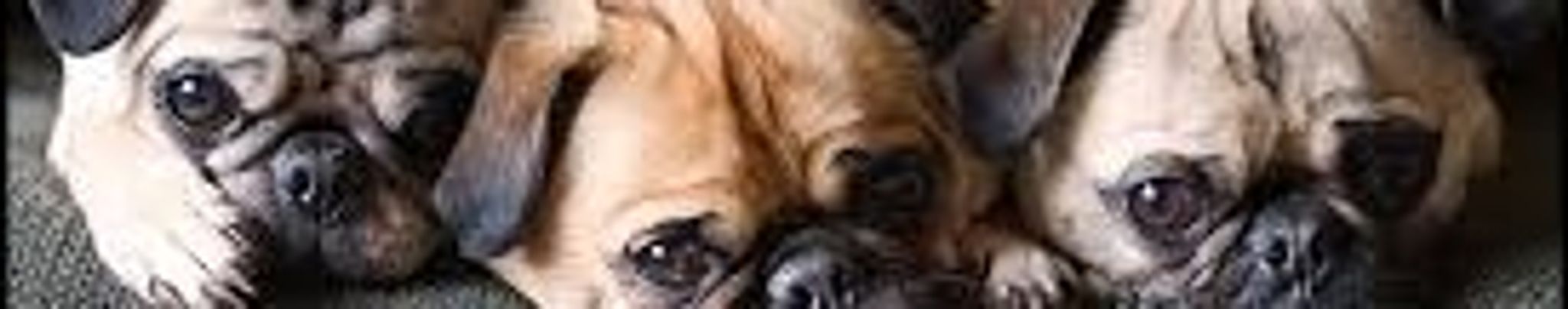 Cover photo for Norma Jean Kerr's Obituary