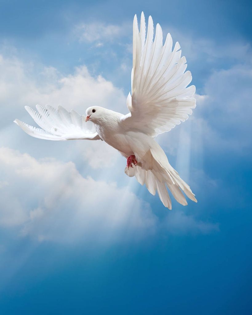 Rodney John Brehm, Sr.