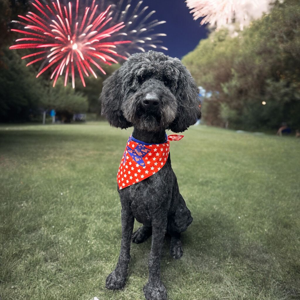 Benny Profile Photo