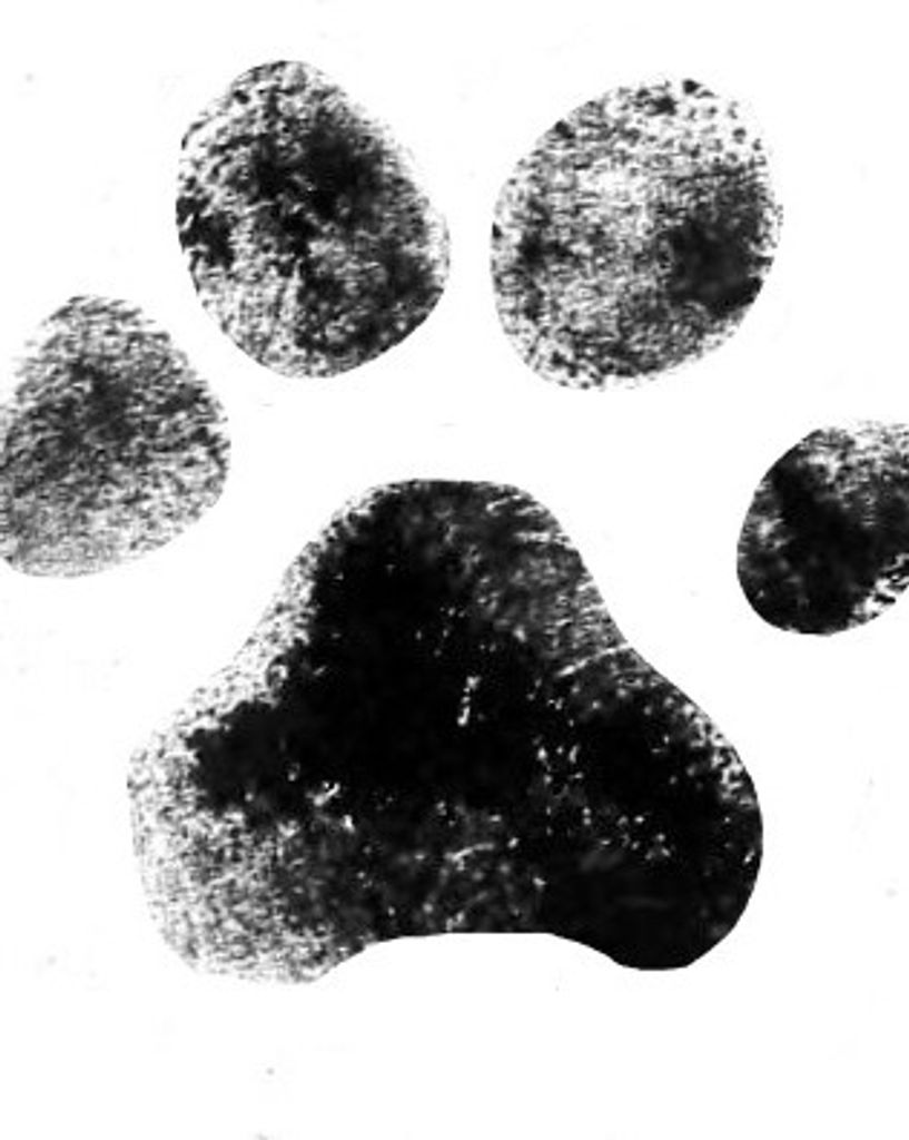 Sadie Mingus Profile Photo