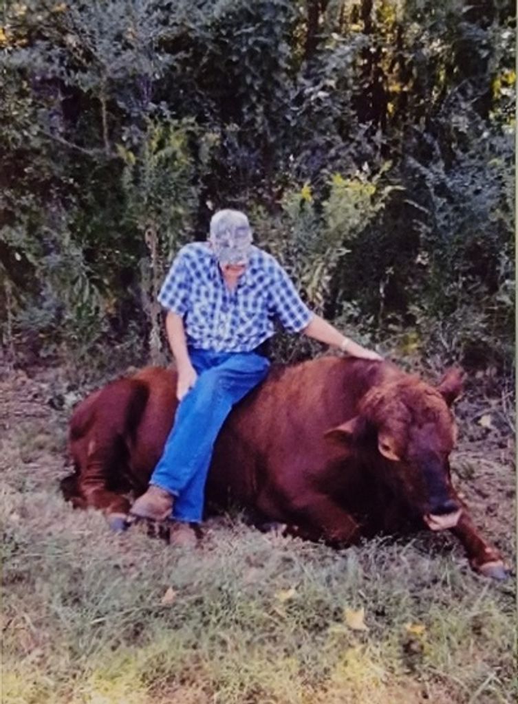 James, "J.L." Wilbur Profile Photo