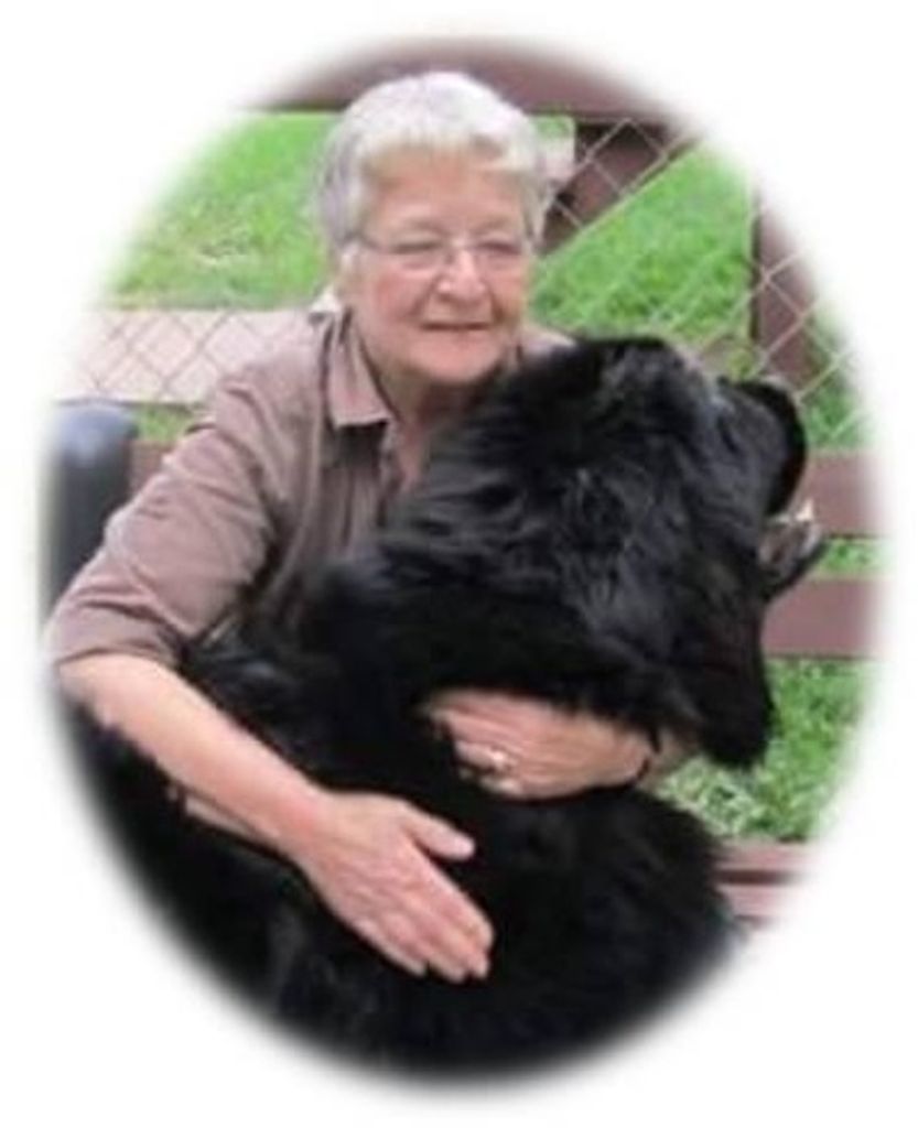 Suzanne J. M. Evans Profile Photo
