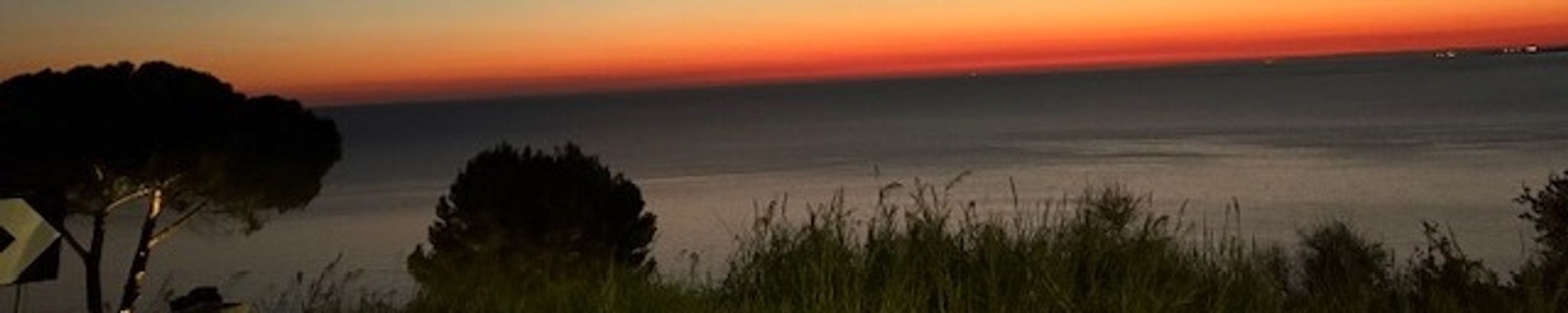 Cover for Franco Pennacchioli's Obituary