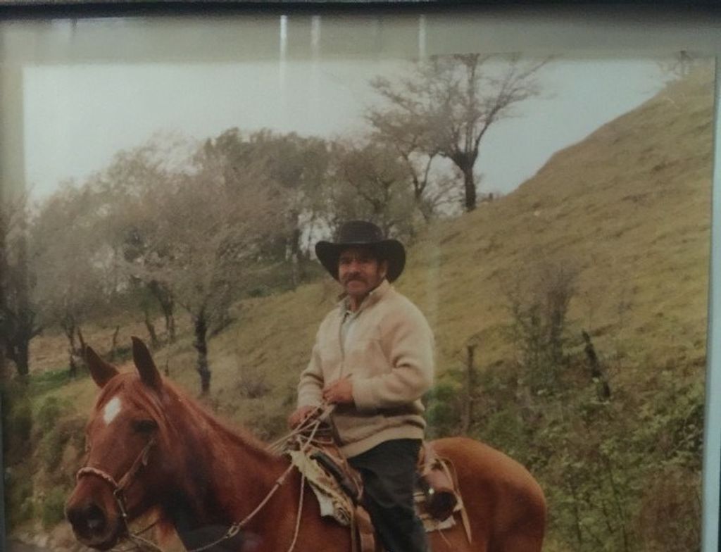 David Ortiz Dominguez