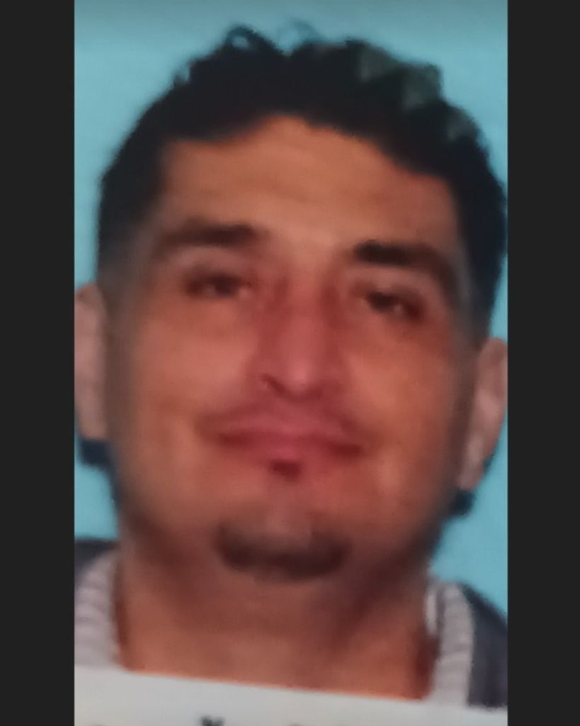 Alfonso Gallegos, IV