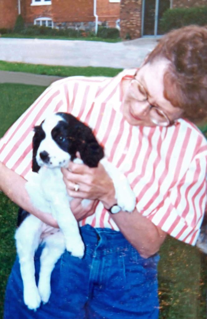 Nancy Ann Link