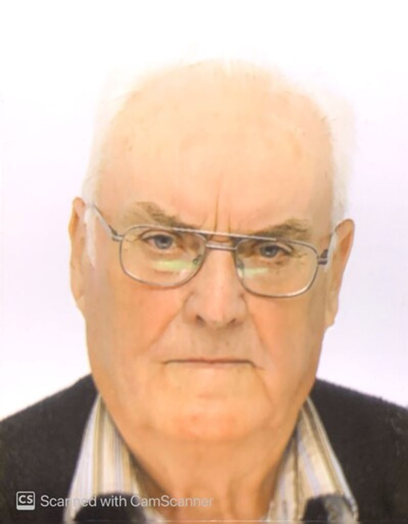 Andreas Hollnberger Profile Photo