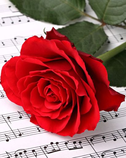 Bonnie Louise Petty Vernon's obituary image