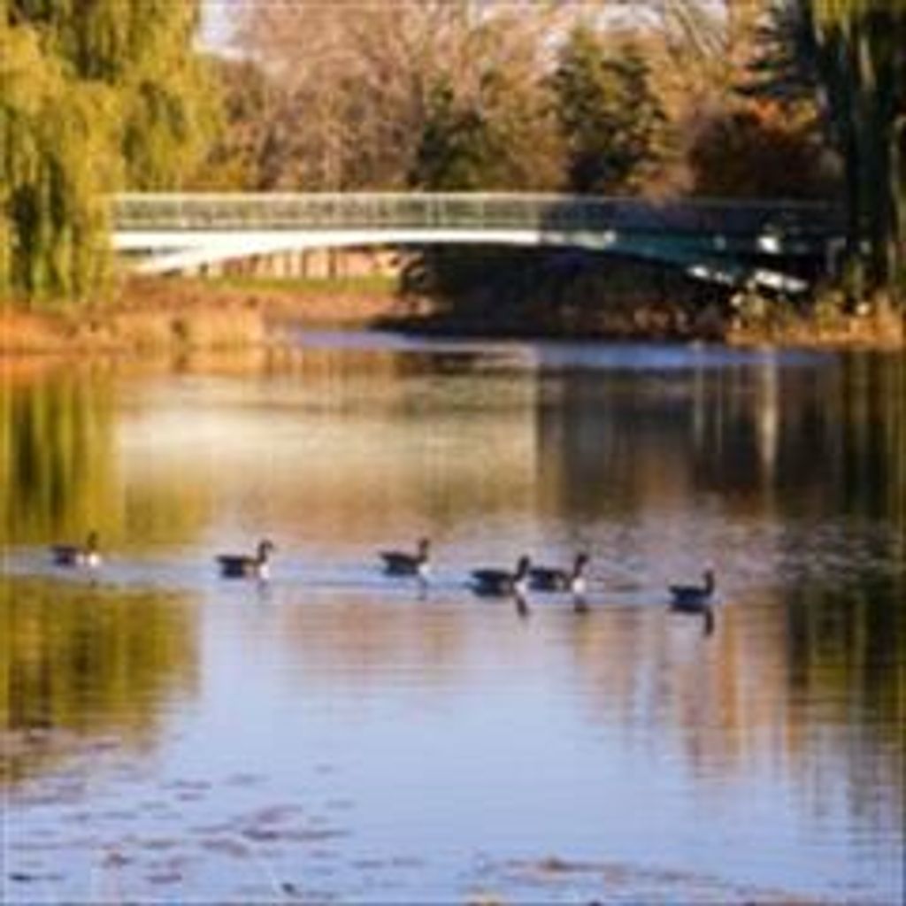 James Clifton King, Jr. Profile Photo