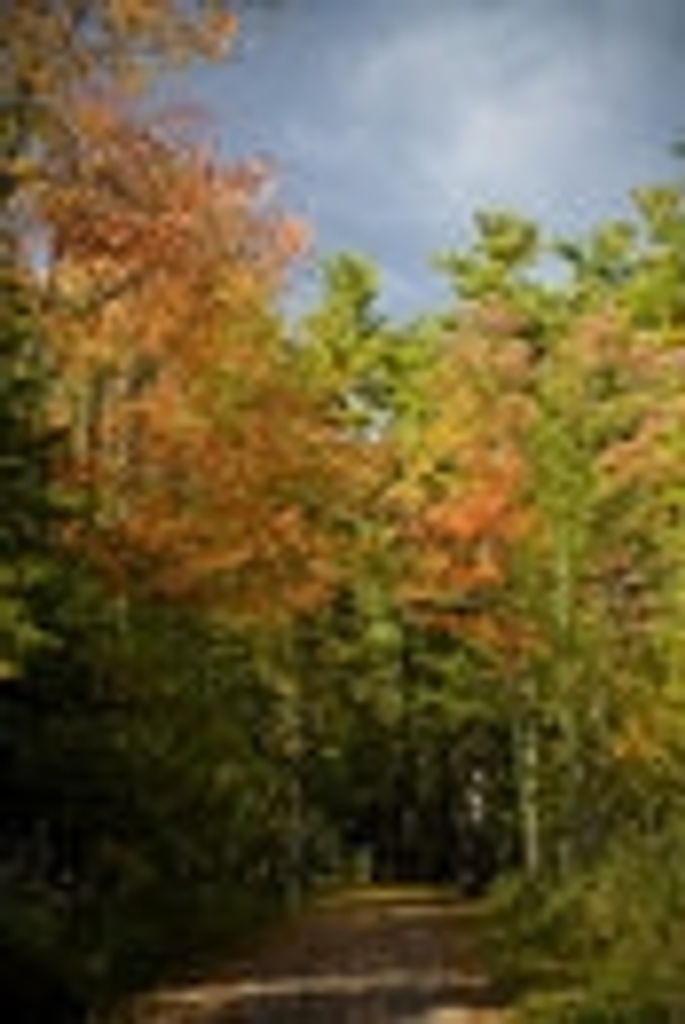 Jason M. Bowersox Profile Photo