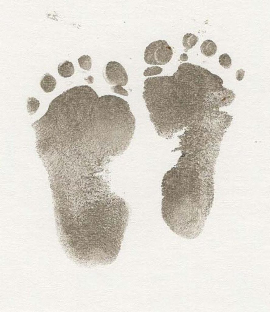 Koa Knox Seaberry Profile Photo