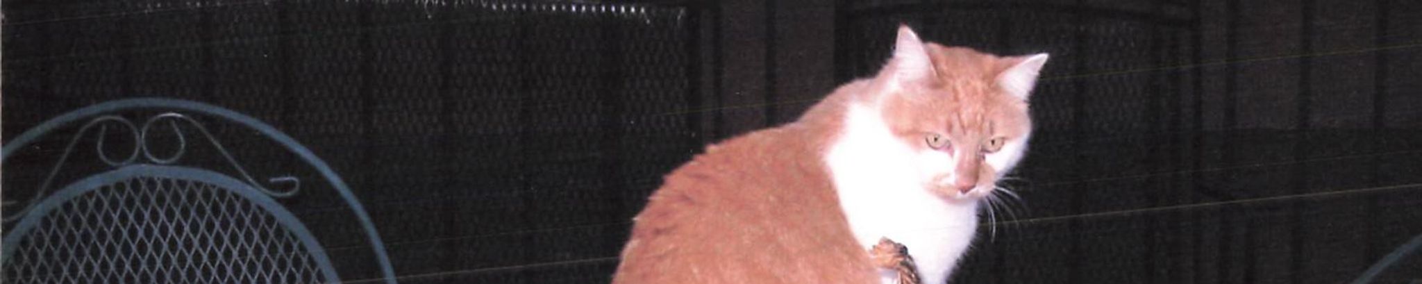 Cover photo for Joe T. Cooke's Obituary