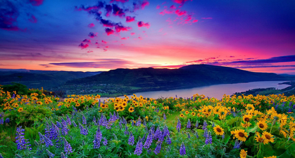 Barbara Ellen Byrd Profile Photo