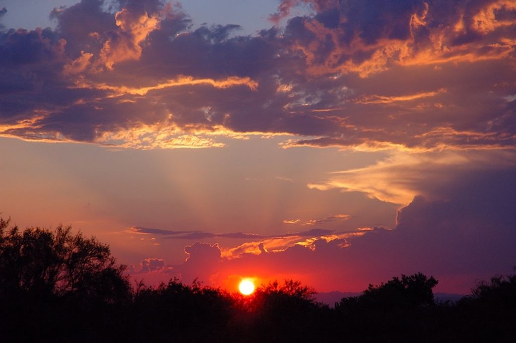 Romayne V. Rider Profile Photo