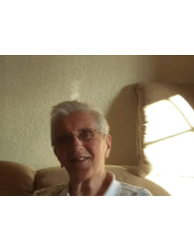 Dina  Johanna (Mijnsbergen) Petiet