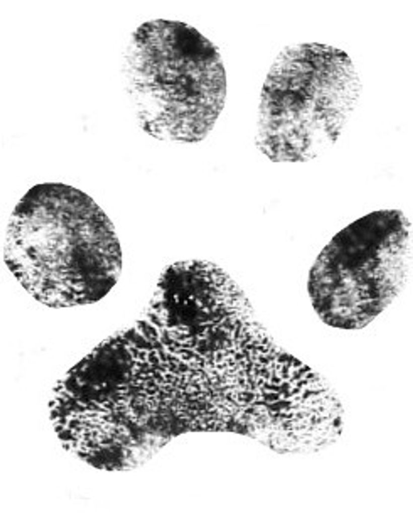 Belle Raby Profile Photo