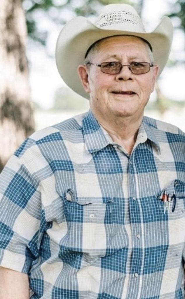 Tommy House Profile Photo