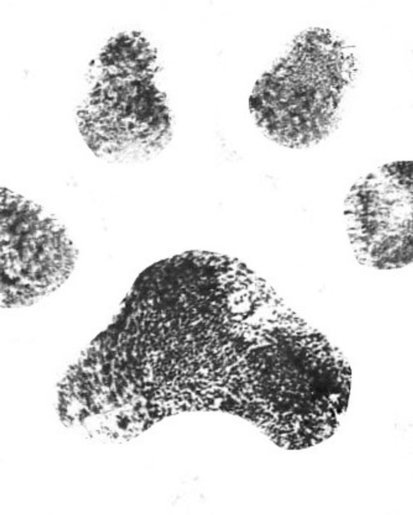 Bailey Ledford Profile Photo