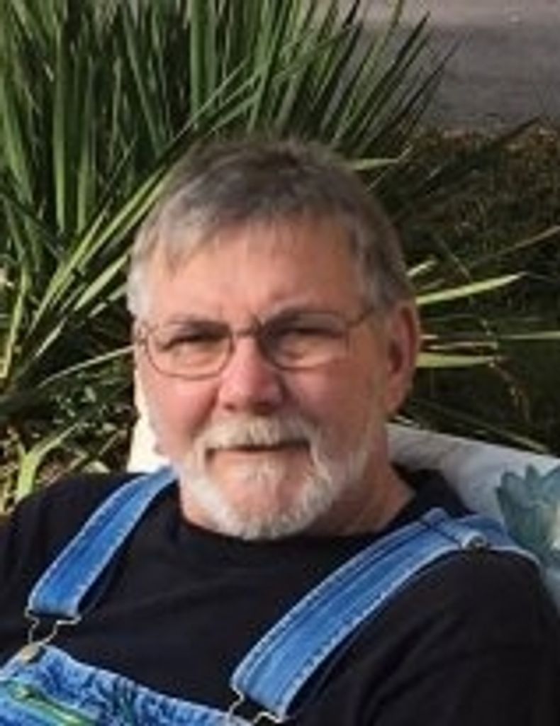David Daugherty Profile Photo