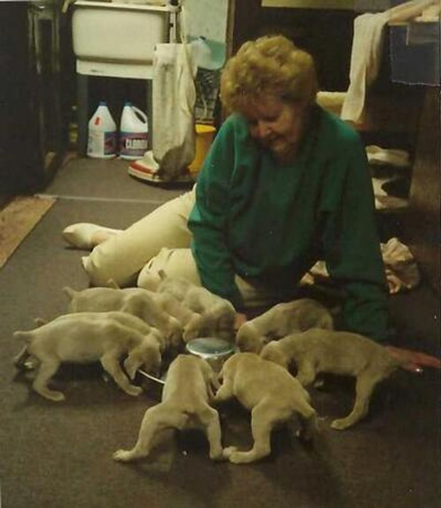 Jean B. Wommer Profile Photo