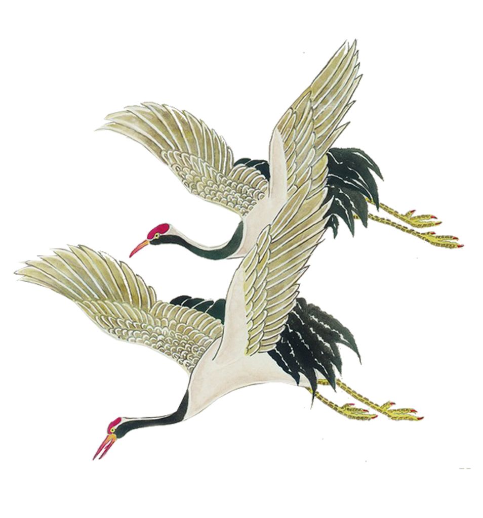 Ying Kuan Ho