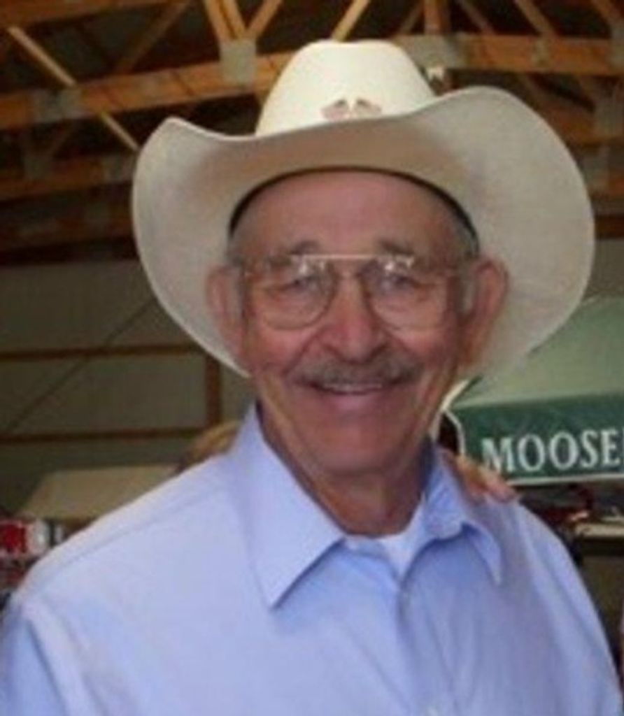 W. Dennis King