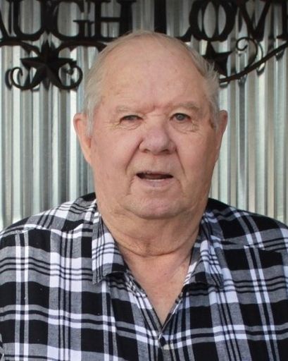 Louis Gould's obituary image