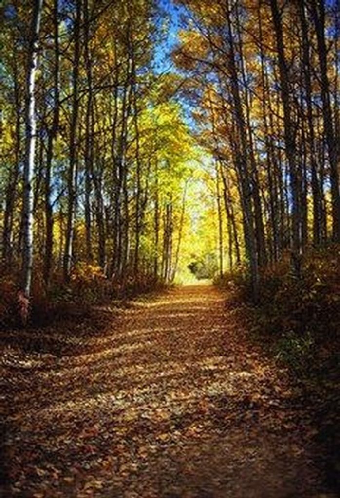 Darryl F. Campbell (Pecore)