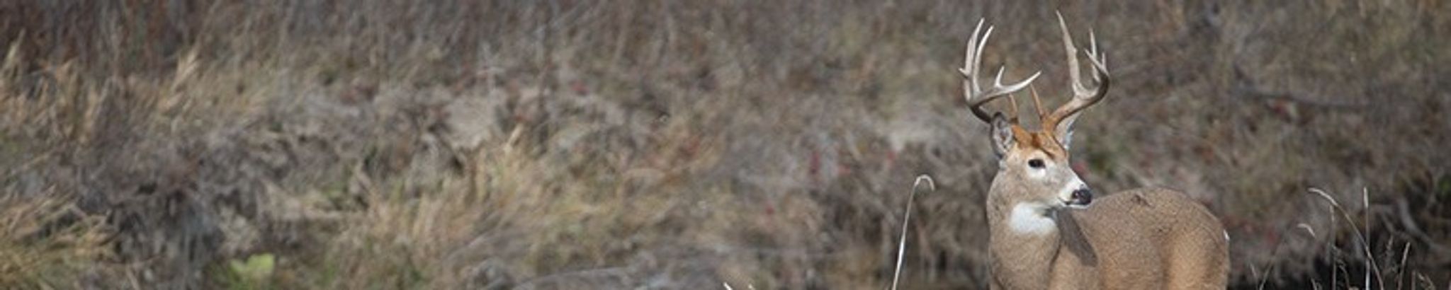 Cover photo for Michael Lee Taylor's Obituary