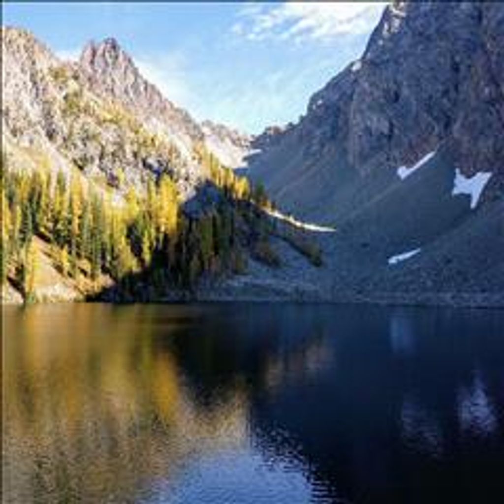 Donald Myron Frank Profile Photo