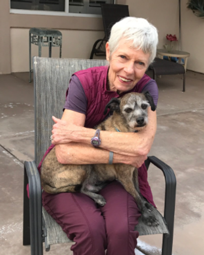 Sue Ann Williams Stipe Profile Photo