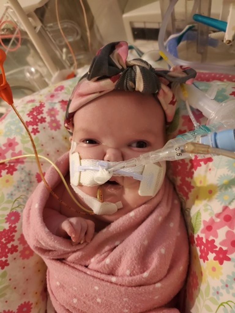 Gabriella Nettie-Aliene Summeralls Profile Photo