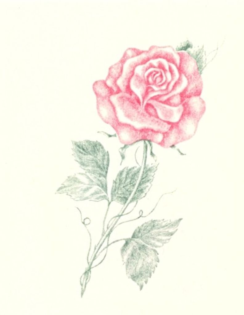 Mary Ellen (Phillips)  Lanigan