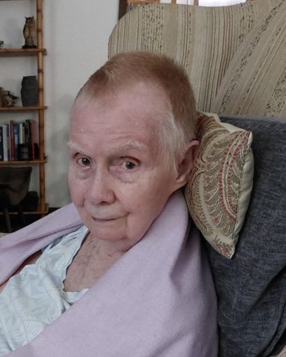 Janice Louise Mewbuorn's obituary image