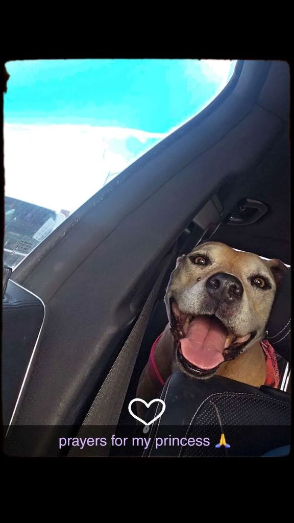 Betty Bop Profile Photo