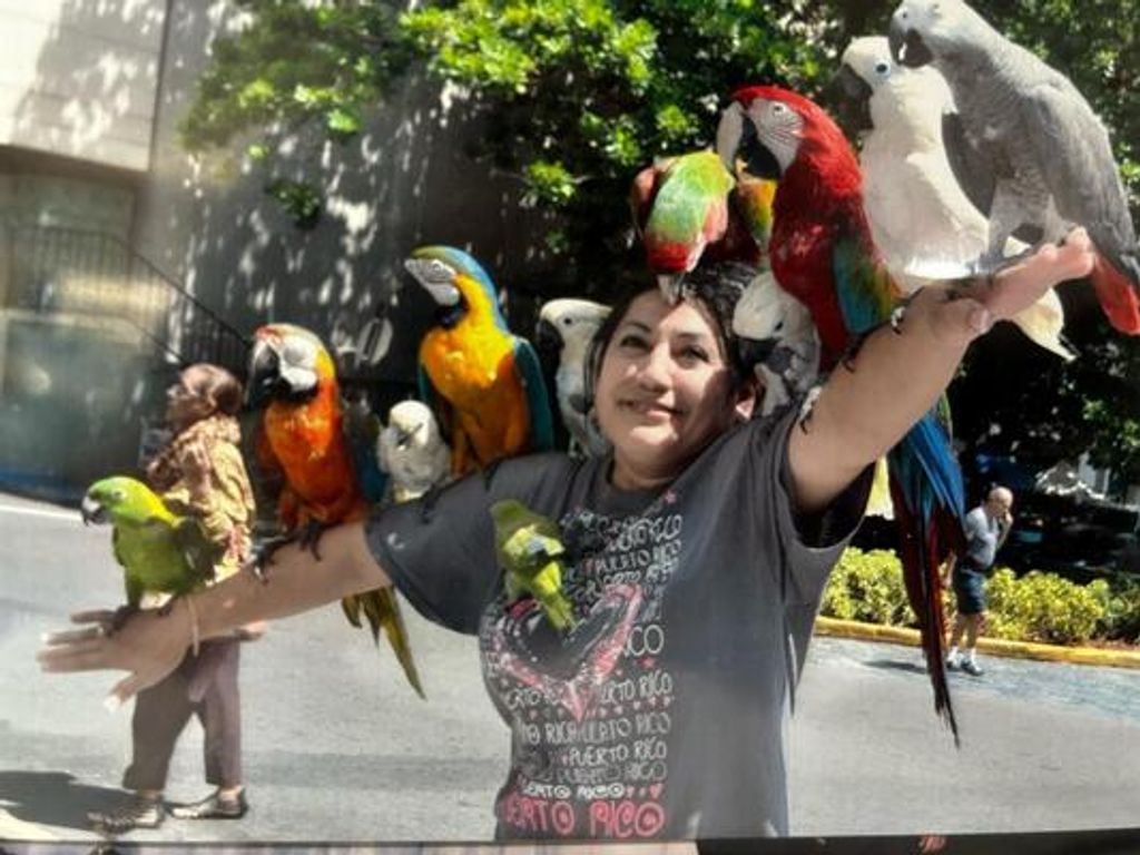 Ofelia Velasquez Profile Photo