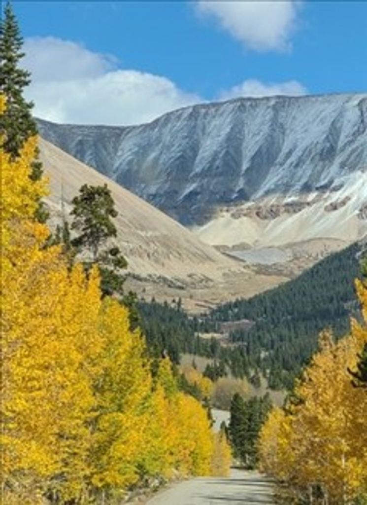 Jack L. Haney Profile Photo