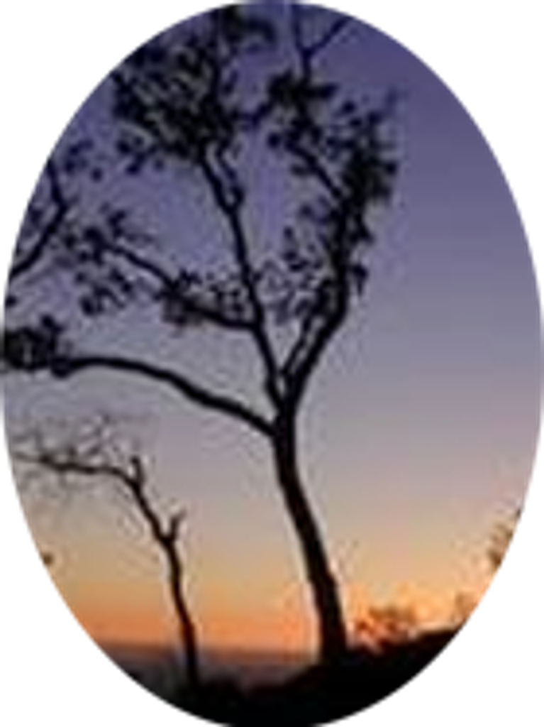 Mary  Anne Bibby Profile Photo