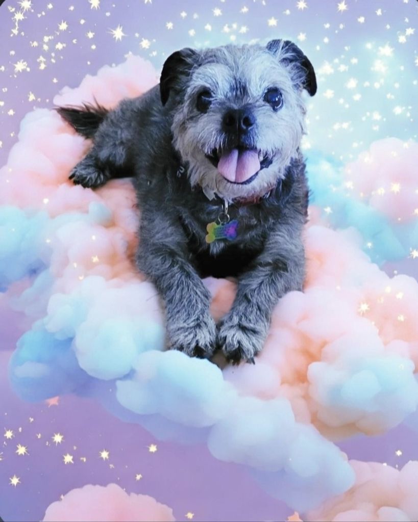 Dexter Rancour Profile Photo