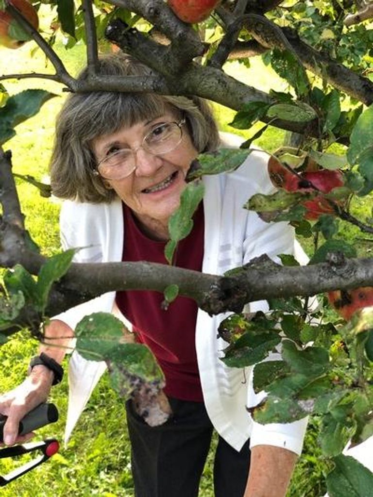Roseline Louise Weisshaar Profile Photo