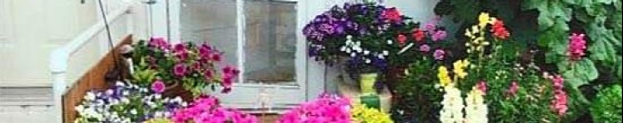 Cover photo for Joan Passini's Obituary