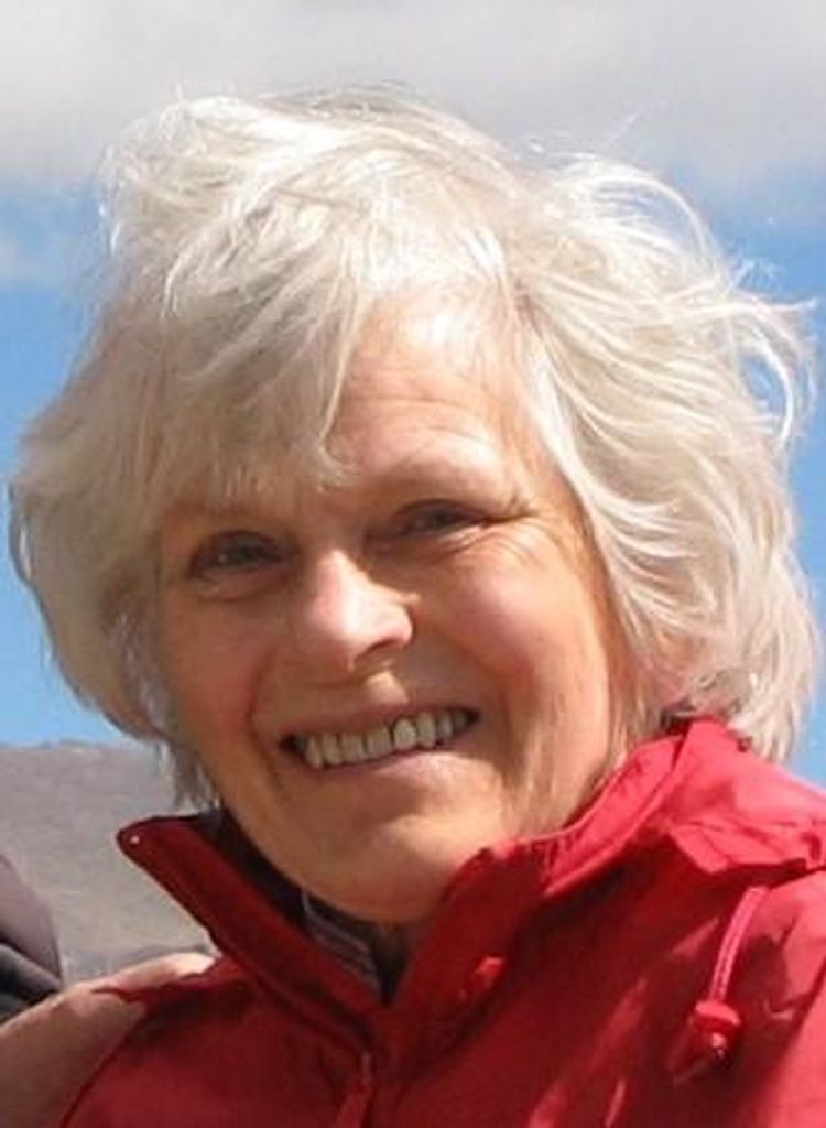 Anne H. Riley