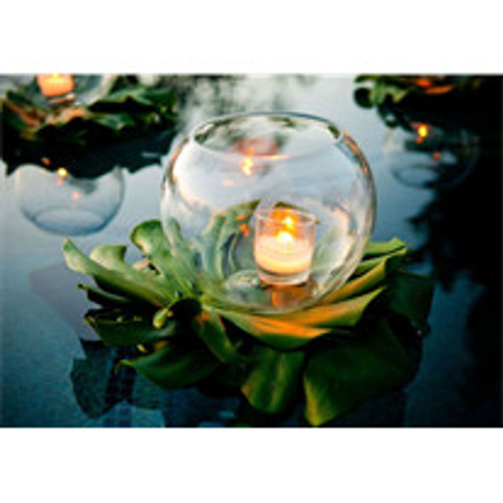 Phyllis A. Scott Bamford Profile Photo